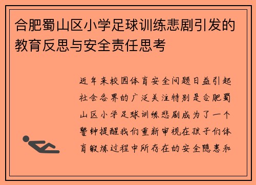 合肥蜀山区小学足球训练悲剧引发的教育反思与安全责任思考