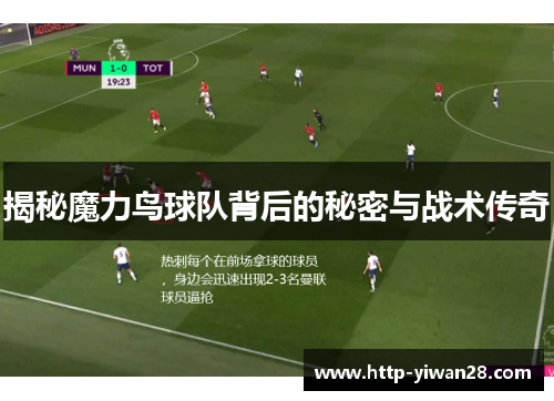 揭秘魔力鸟球队背后的秘密与战术传奇