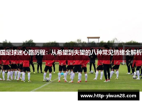 国足球迷心路历程：从希望到失望的八种常见情绪全解析