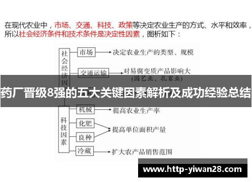 药厂晋级8强的五大关键因素解析及成功经验总结