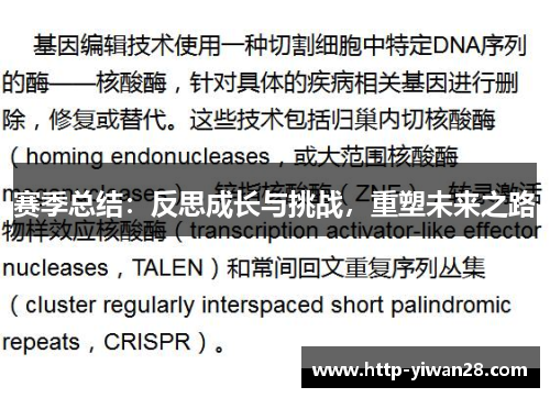 赛季总结:反思成长与挑战,重塑未来之路 赛季总结:反思成长与挑战,重塑未来之路